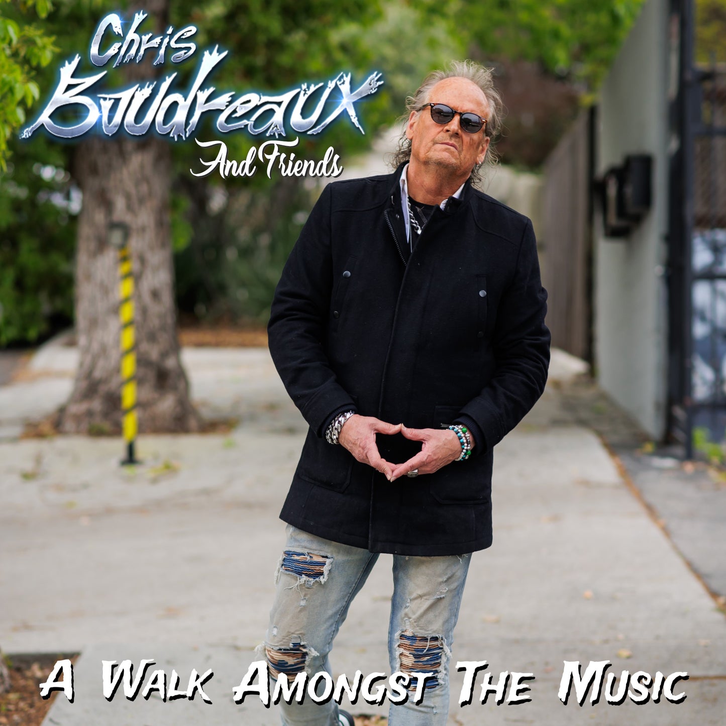 Chris Boudreaux And Friends - A Walk Amongst The Music