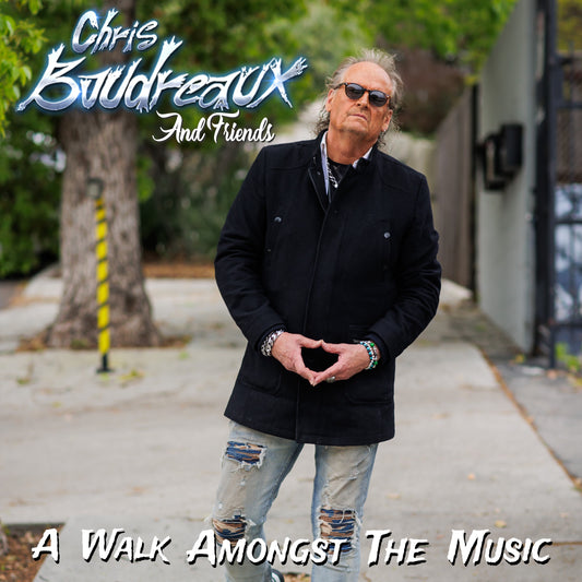 Chris Boudreaux And Friends - A Walk Amongst The Music